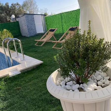 Eliz فيلة دالامان